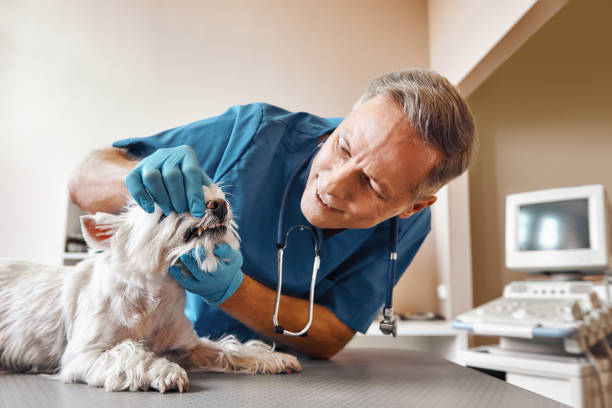 Best Tooth Infection Emergency Dentist  in Jupiter Farms, FL